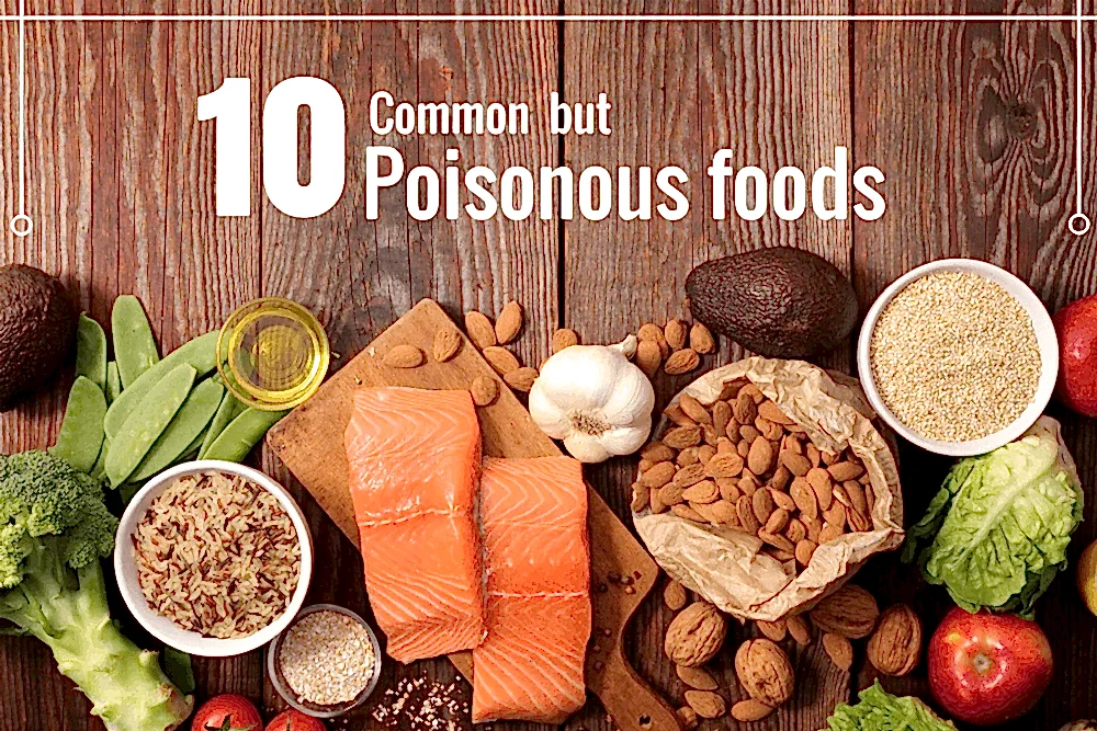 Are you eating these common but poisonous foods?
