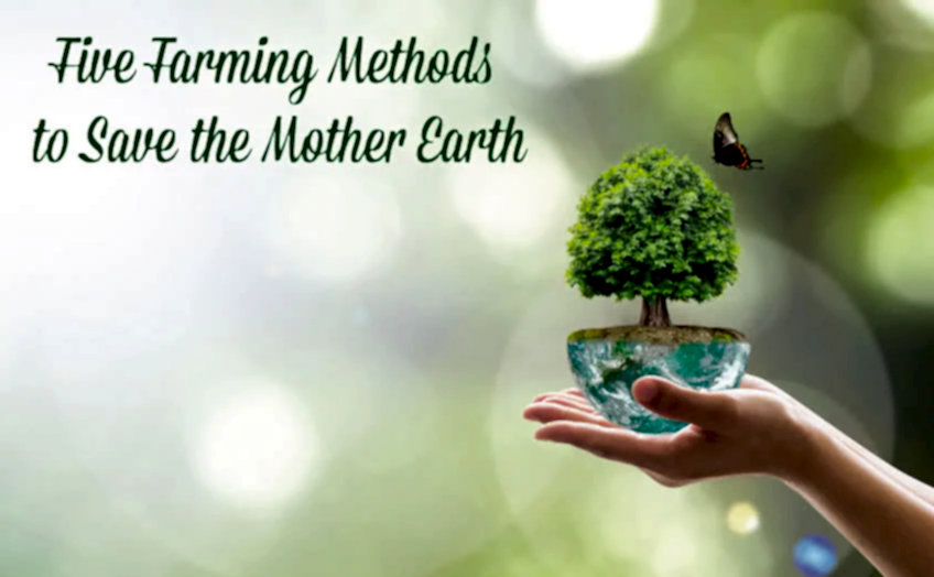 5 Farming Methods to Save Mother Earth