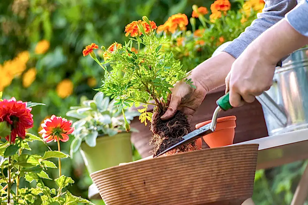 Best Mother's Day Gifts for Mothers With a Green Thumb