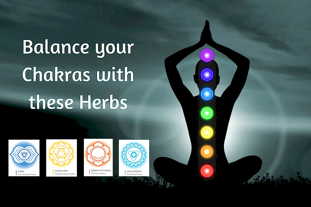 Balance your chakras with these herbs