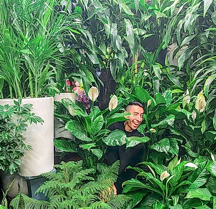 What Kind of Plant Parent Are You? Let's Find Out!