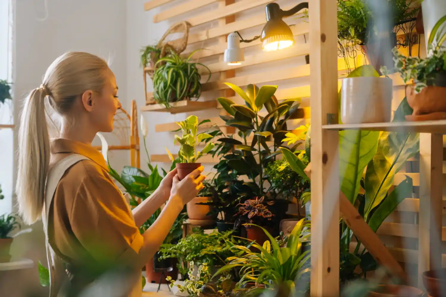 5 Low-Maintenance Plants Perfect for Busy Moms