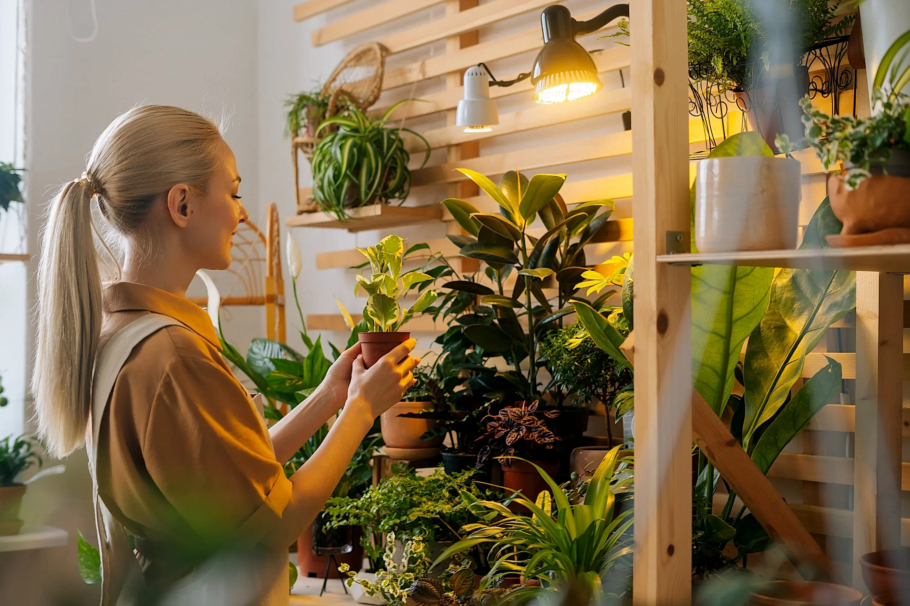 5 Low-Maintenance Plants Perfect for Busy Moms