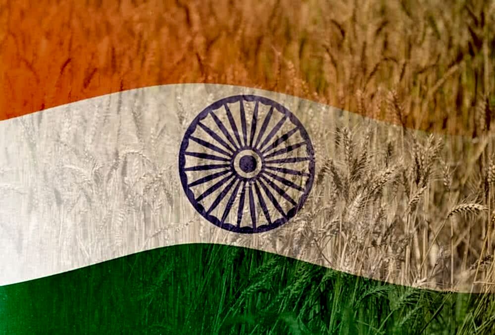 National Plants of India