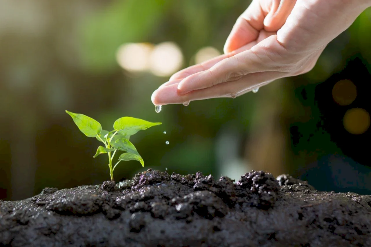 8 Ways to Make a Difference this World Environment Day