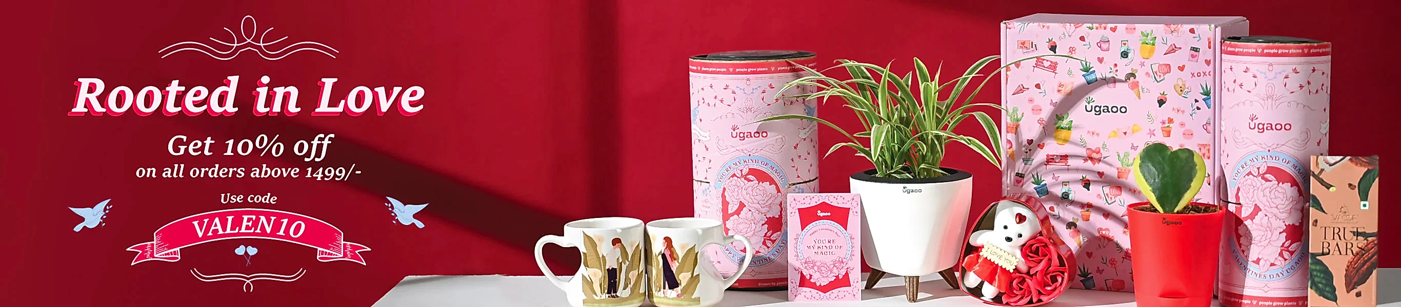 Valentine's Day Gifts