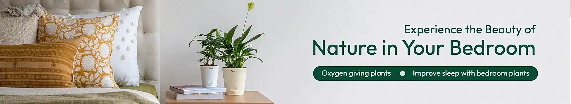Bedroom plants