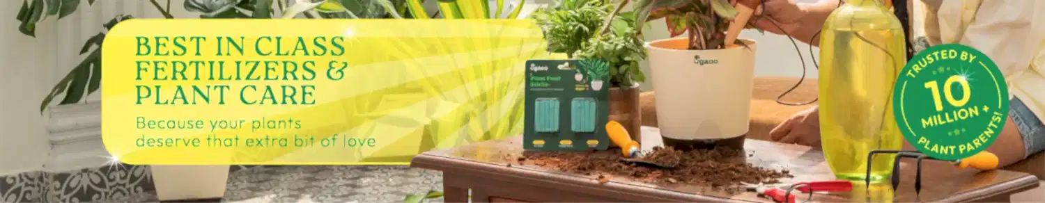 Fertilizers