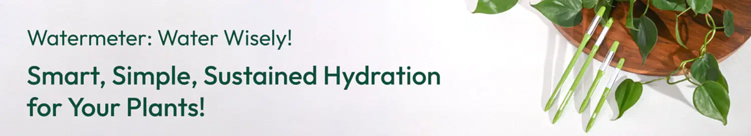 Watering Tools