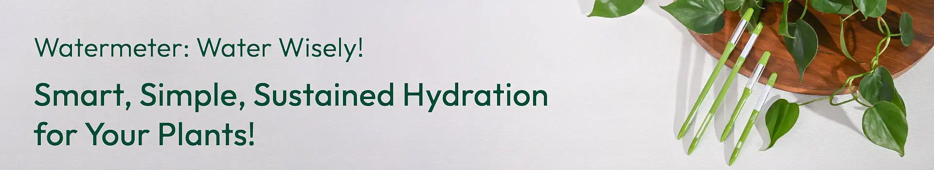 Watering Tools