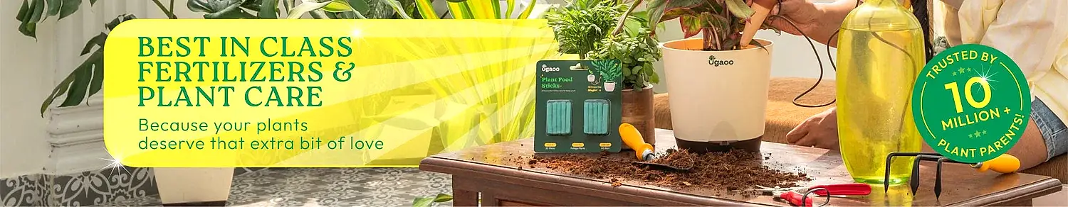 Plant Care