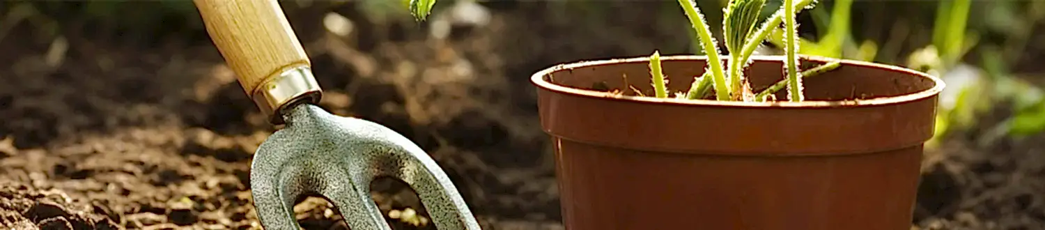 Plant Growth