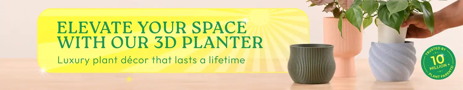 Pots &amp; Planters