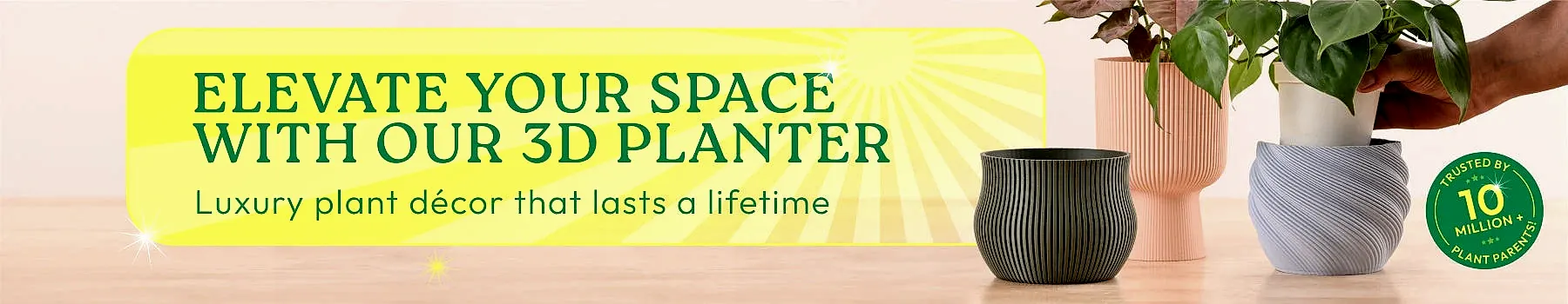 Pots & Planters