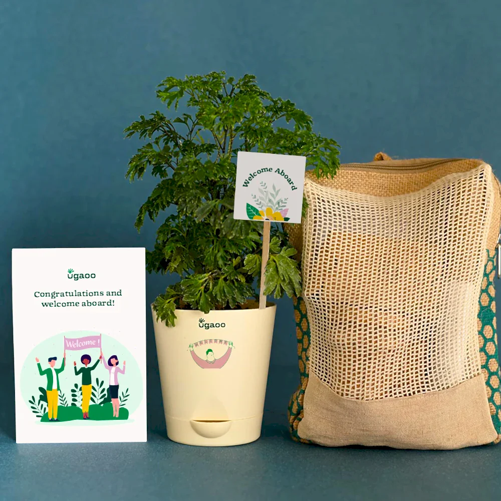 Aralia Climate Jute Bag For New Joining