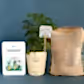 Aralia Climate Jute Bag For New Joining