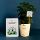 Aralia Climate Jute Bag For New Joining