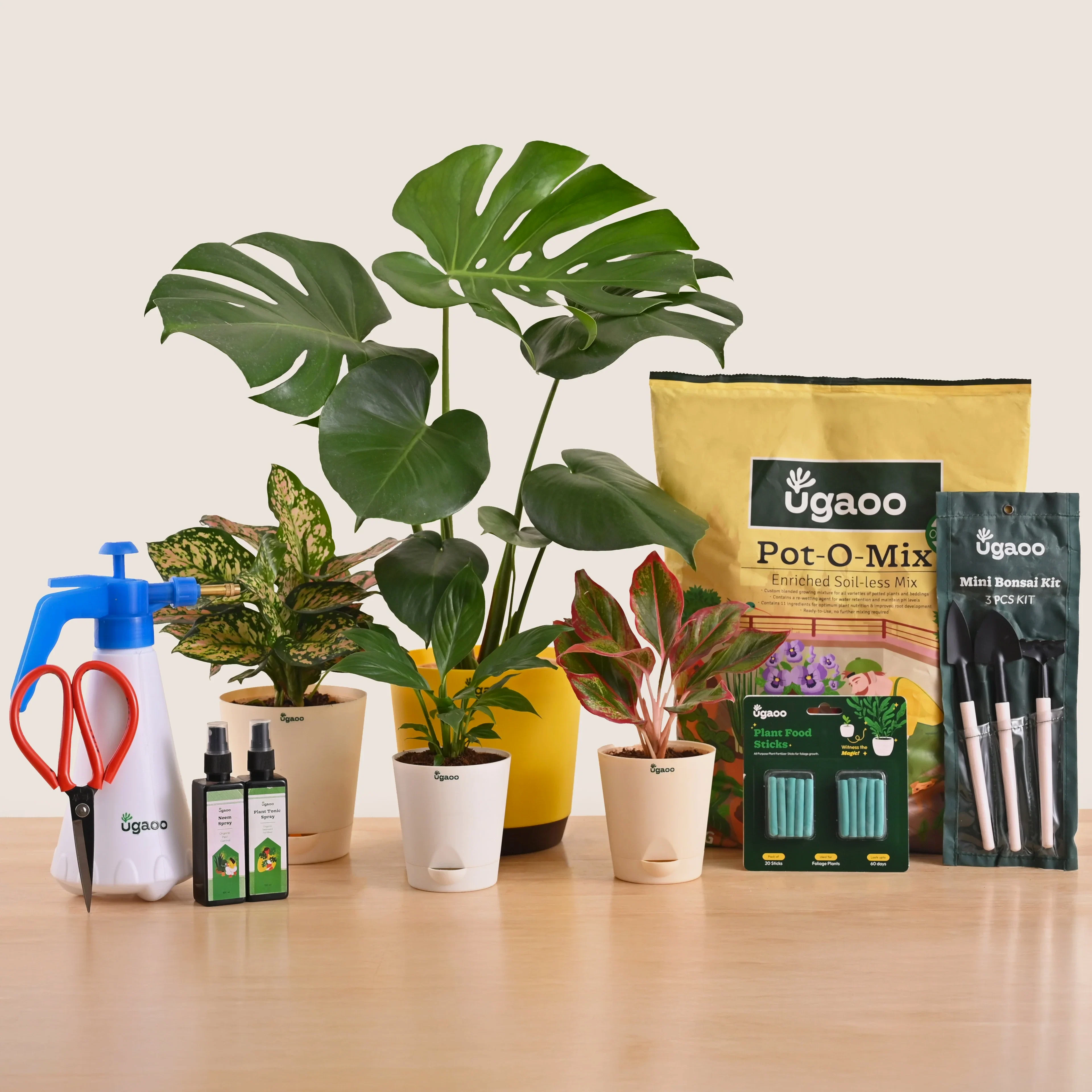 Garden in a Box