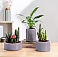 Lilac Stories Bundle - Grey