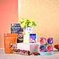 Philodendron Oxycardium & Epiphany Diwali Gift Hamper