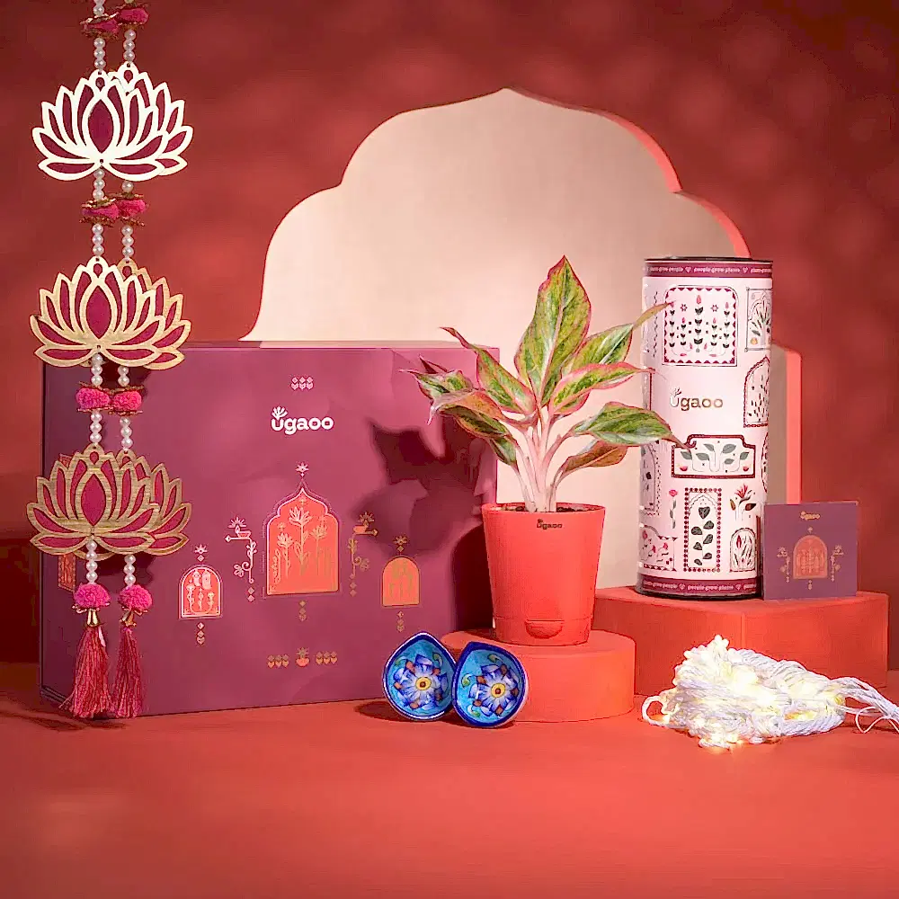 All The Love Diwali Gift Hamper