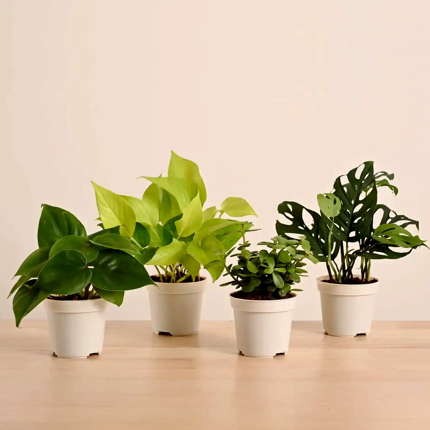 GroPot Combo - Set of 4