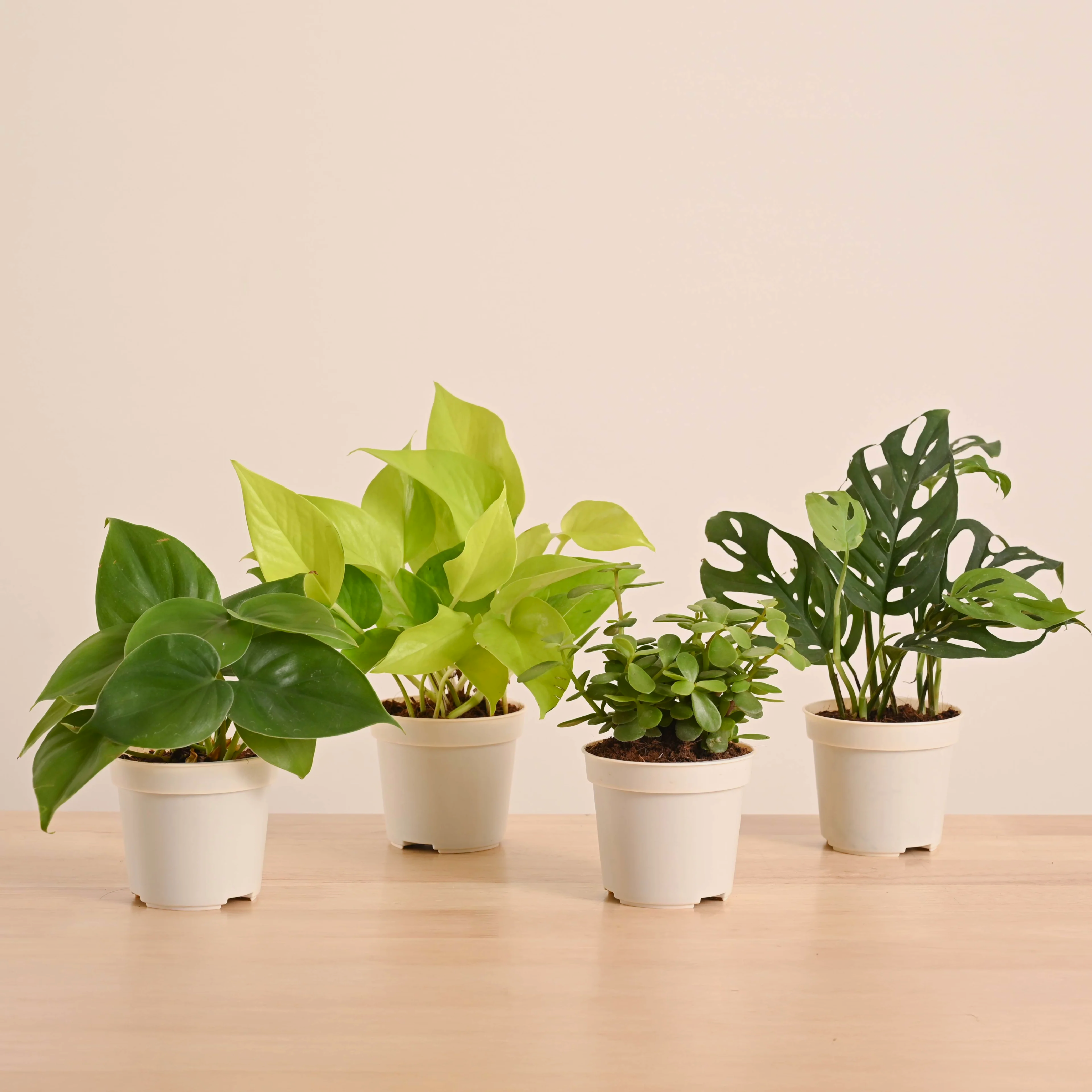 GroPot Combo - Set of 4