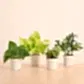 GroPot Combo - Set of 4