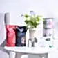Money Plant Marble Congratulations Gift hamper
