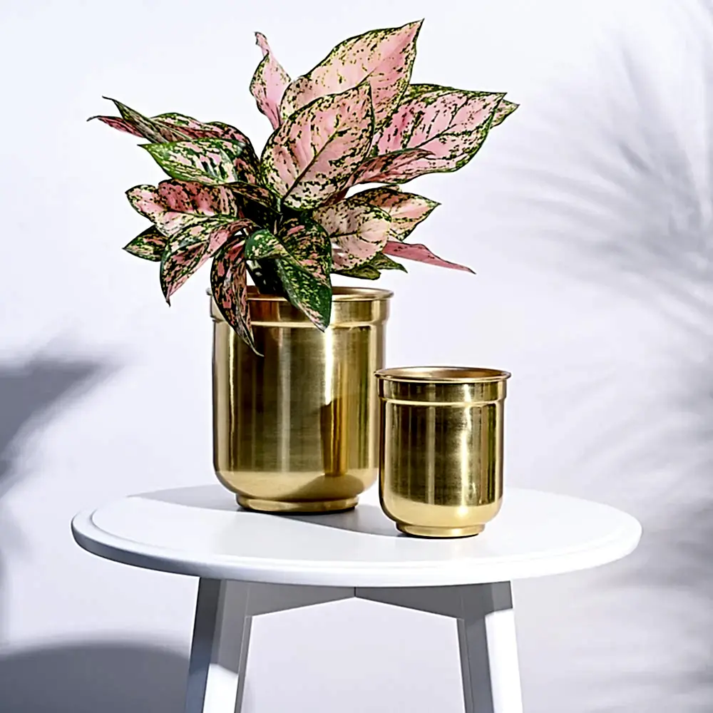 Aurelian Cylindrical Planter