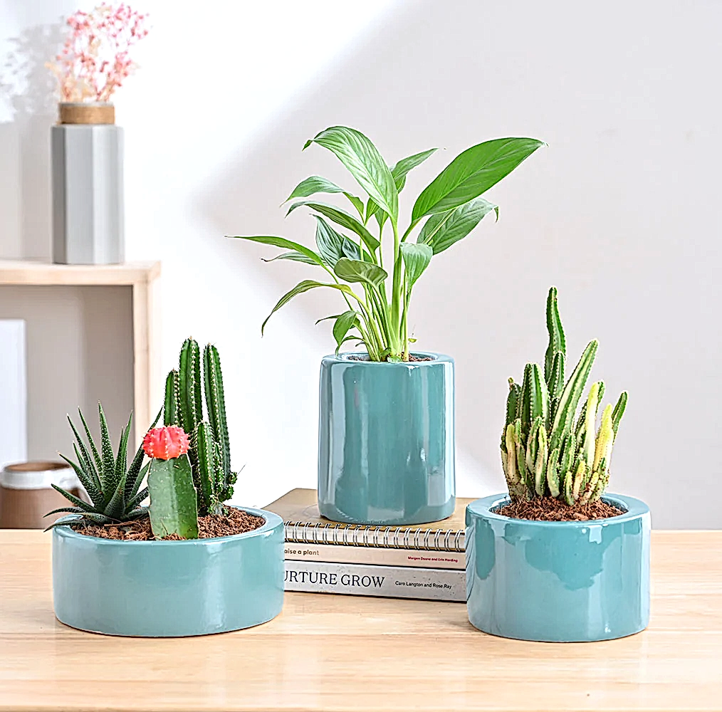 Lilac Stories Bundle - Aqua Green