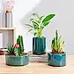 Lilac Stories Bundle - Dark green