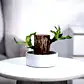 NUPLB045