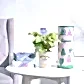 Money Plant Marble Congratulations Gift hamper