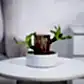 NUPLB048