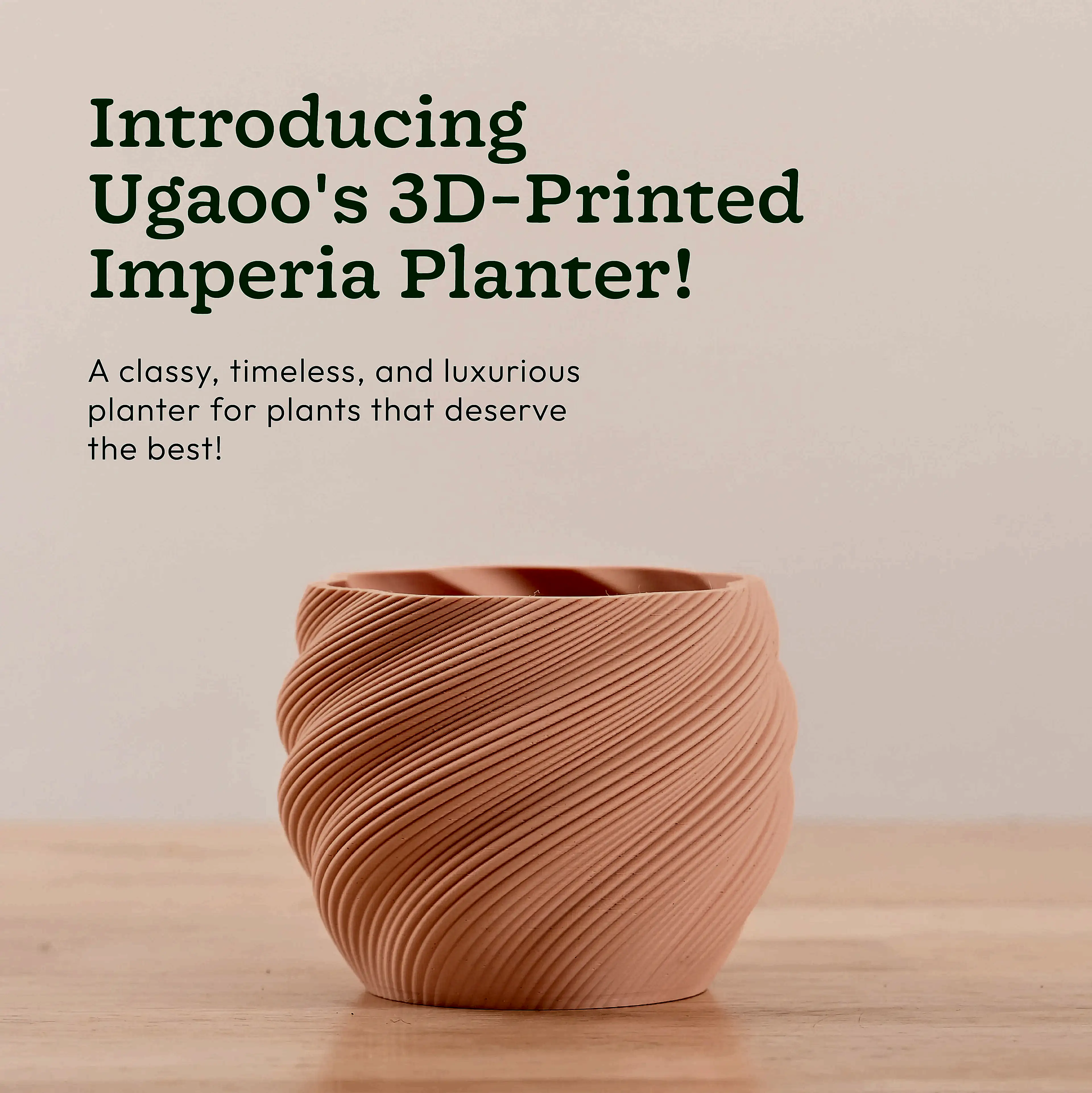 3d plant pots_NUHP0337