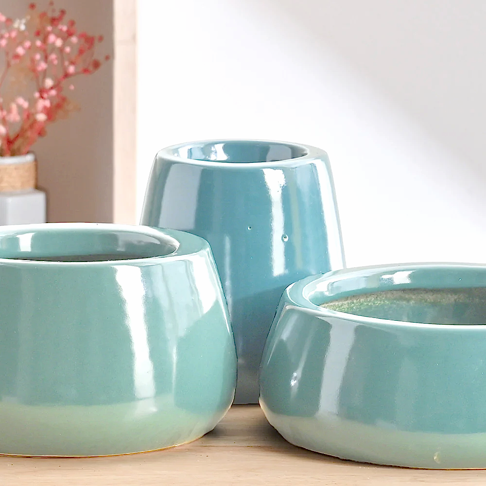 Tulip Fantasy Bundle - Aqua Green