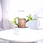 NUPLB045
