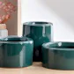Lilac Stories Bundle - Dark green