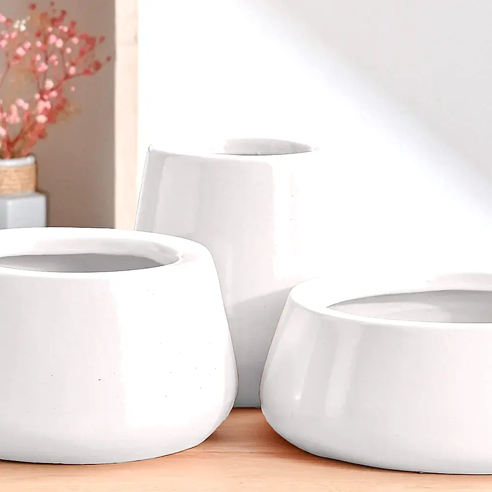 Tulip Fantasy Bundle - White