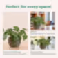 3d printed pots for plants_NUHP0343