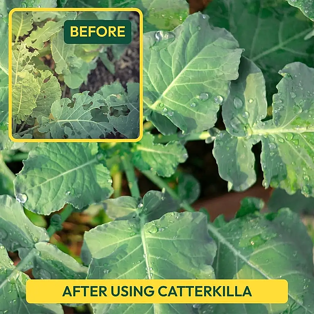 CaterKilla Deltamethrin 2.8% EC - 100 ml