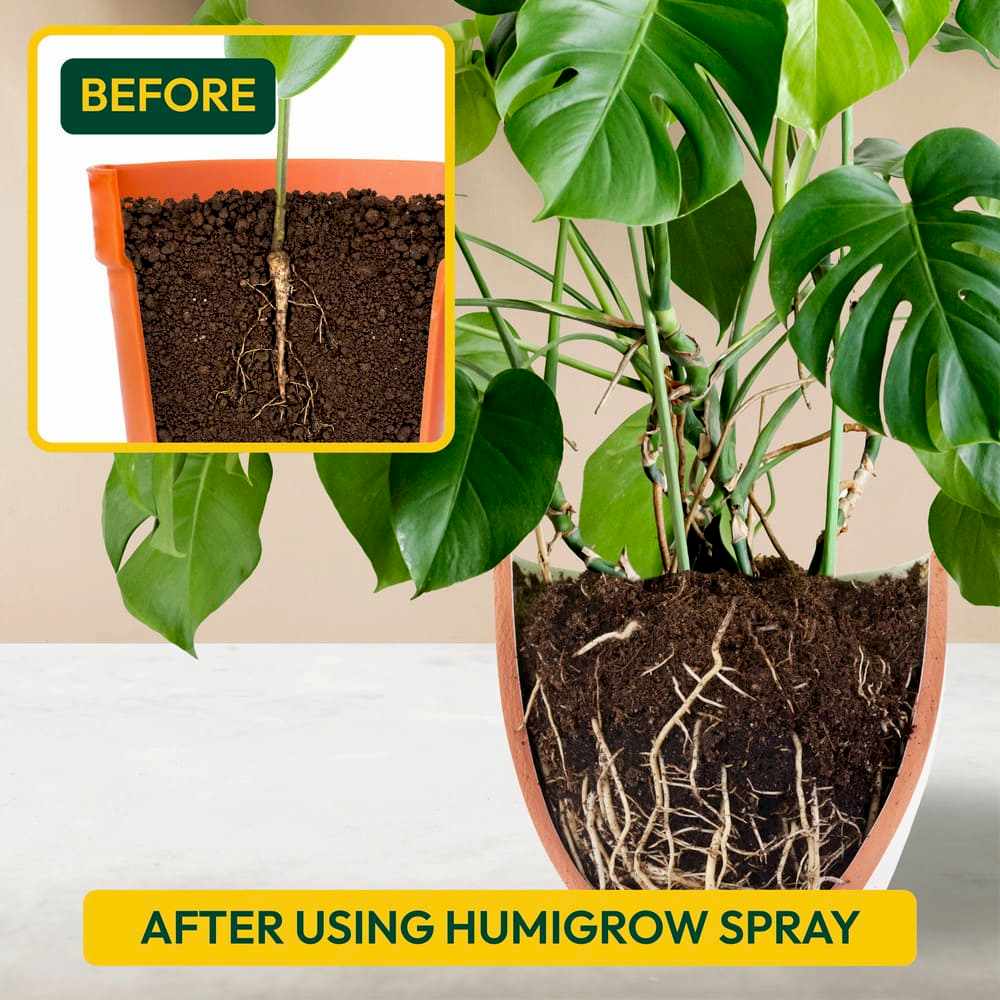 Humic Acid Ready-to-Use Spray - 500 ml