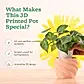 3d plant pots_NUHP0337