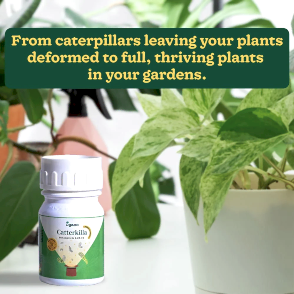 CaterKilla Deltamethrin 2.8% EC - 100 ml