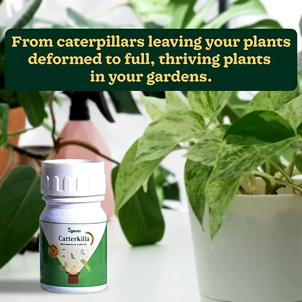 CaterKilla Deltamethrin 2.8% EC - 100 ml