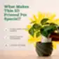 3d printed pots for plants_NUHP0343