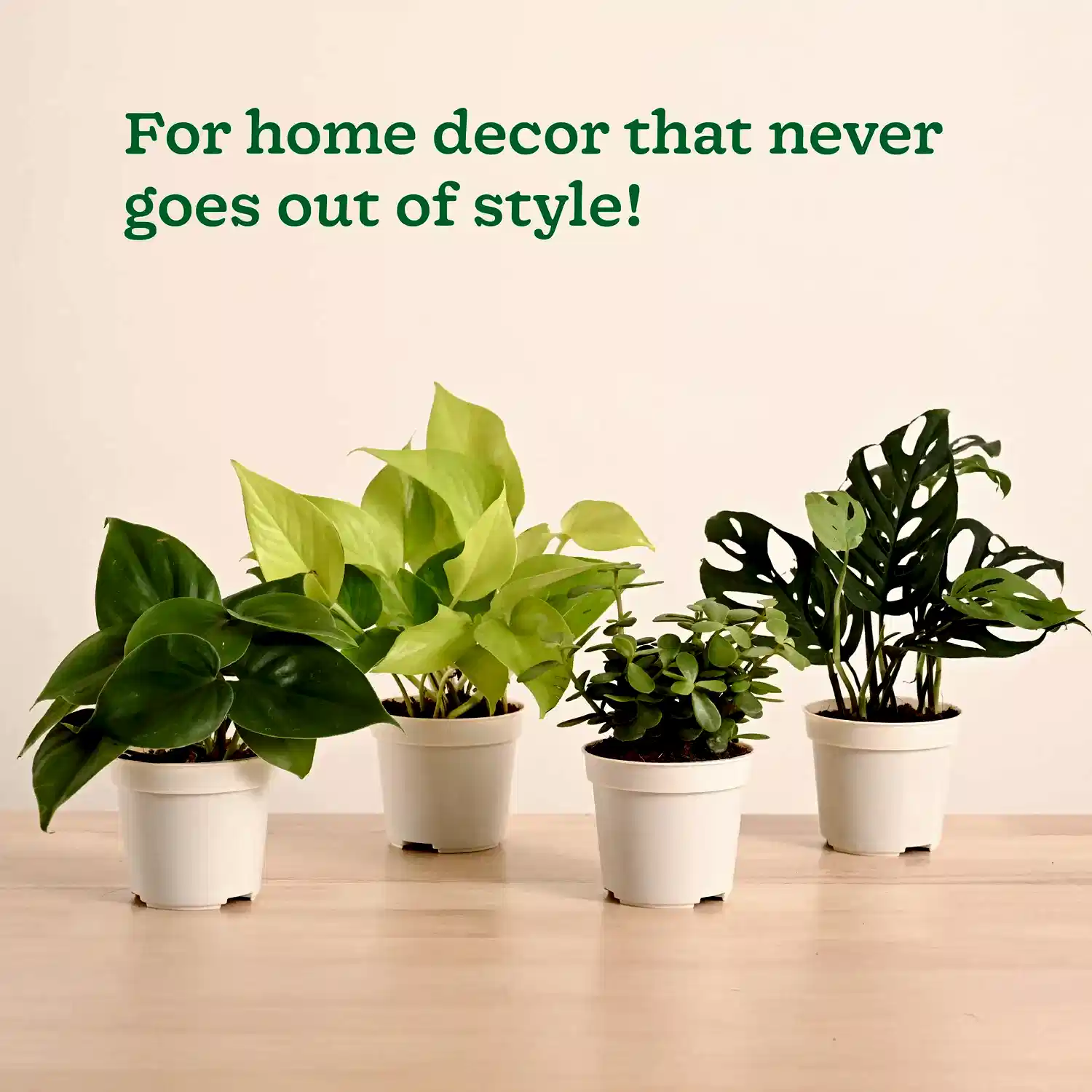 GroPot Combo - Set of 4