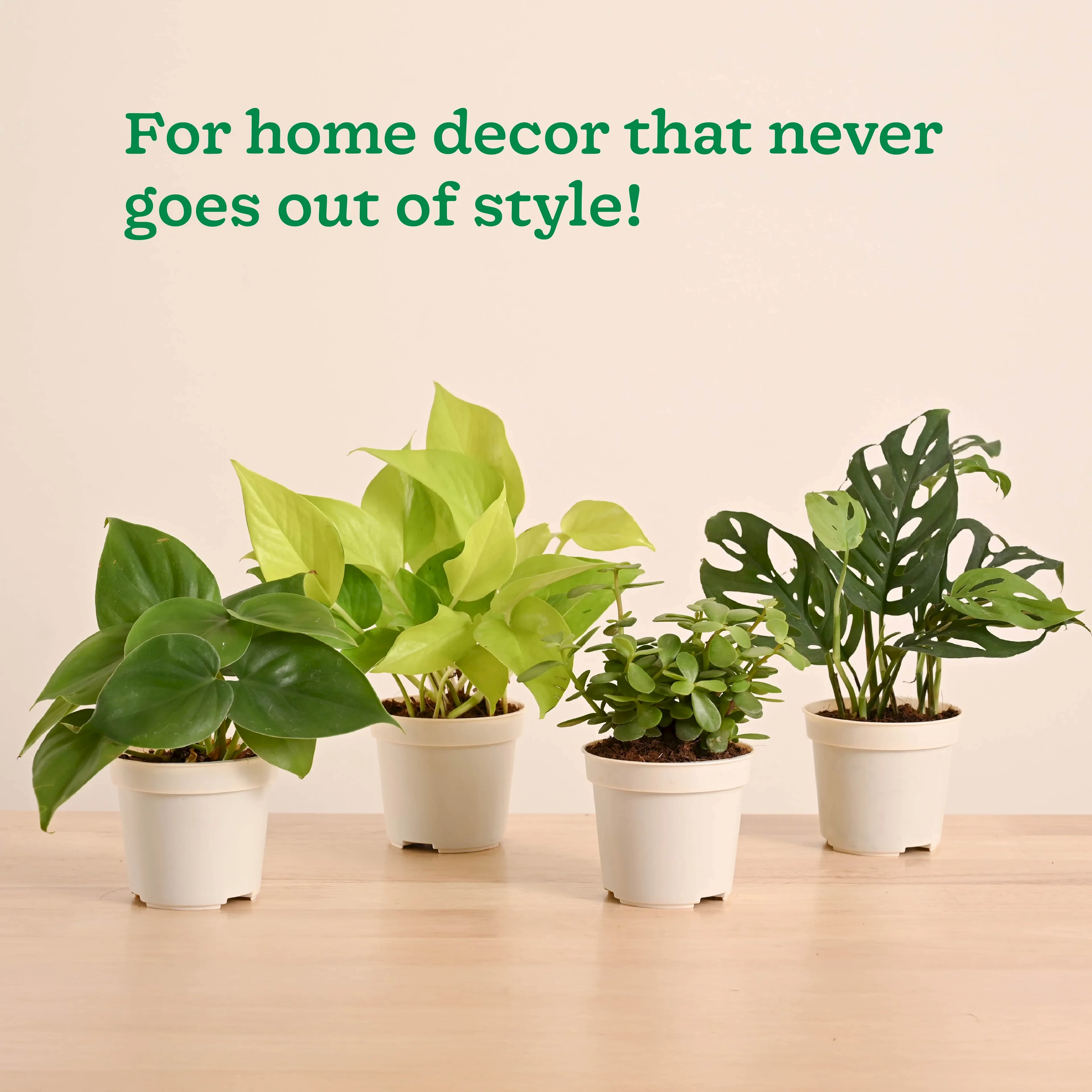 GroPot Combo - Set of 4
