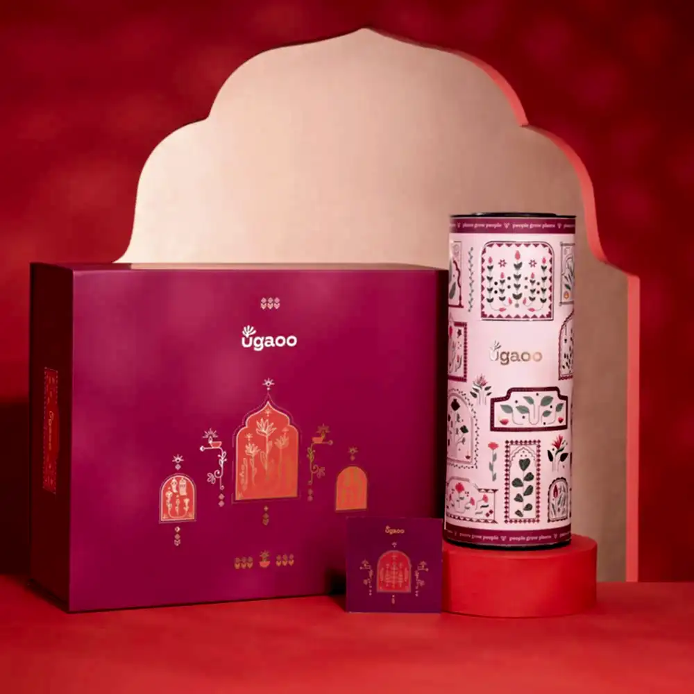 All The Love Diwali Gift Hamper